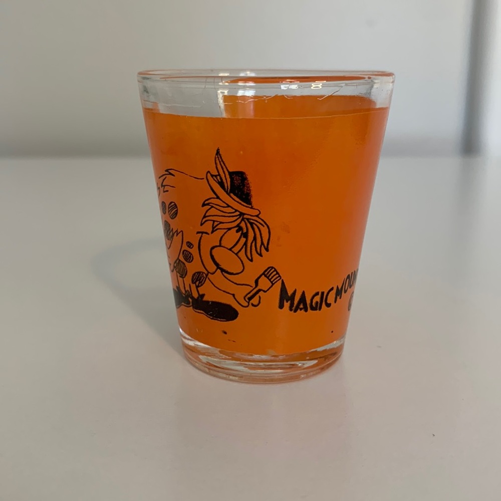 VTG 1970s Six Flags Magic Mountain shot glass